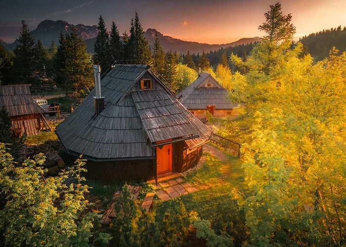 Koca Kronca - Velika Planina