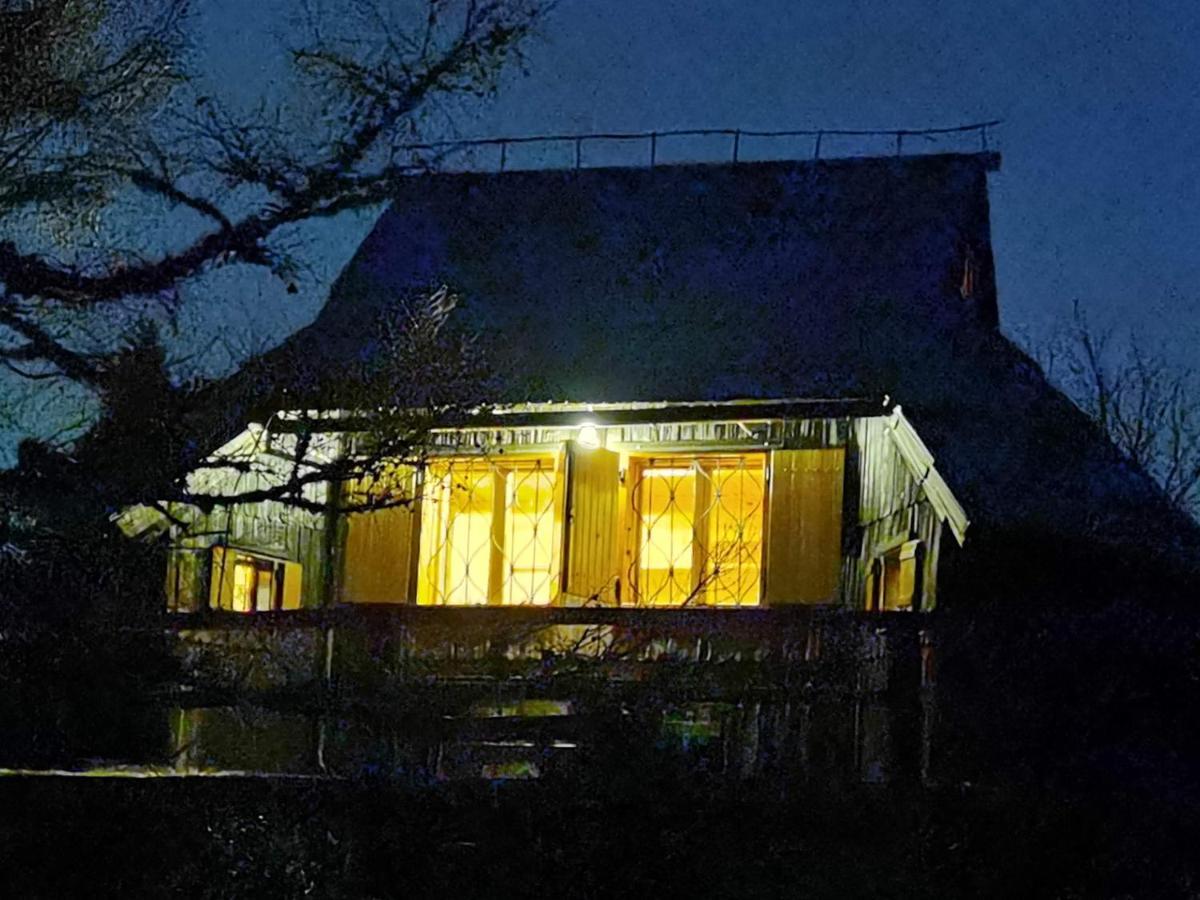 Koca Kronca - Velika Planina *