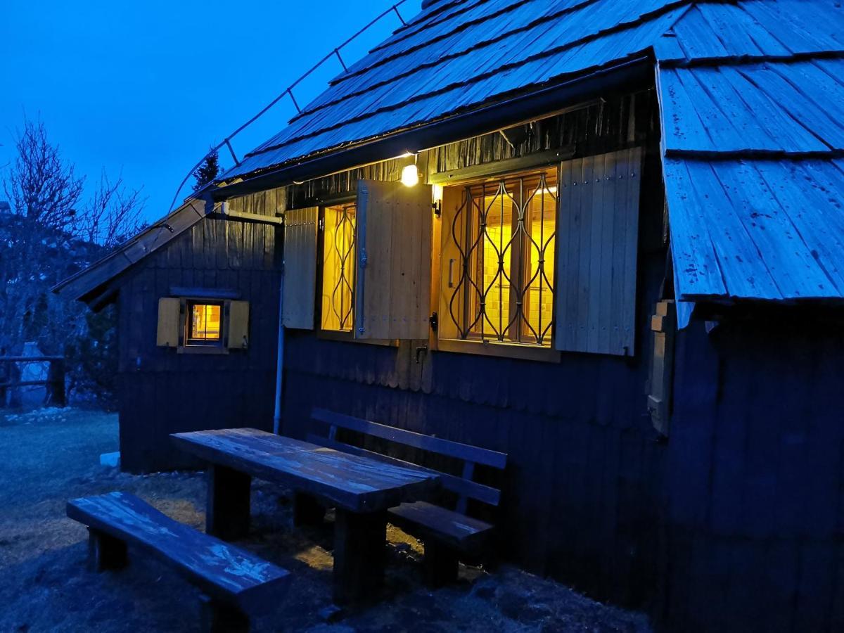 Koca Kronca - Velika Planina Brvnara *