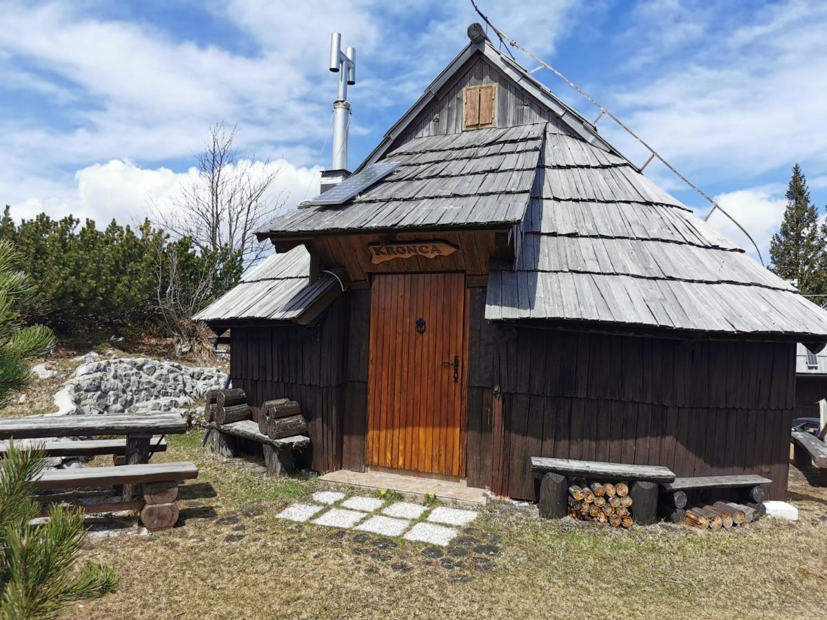 Koca Kronca - Velika Planina Brvnara *