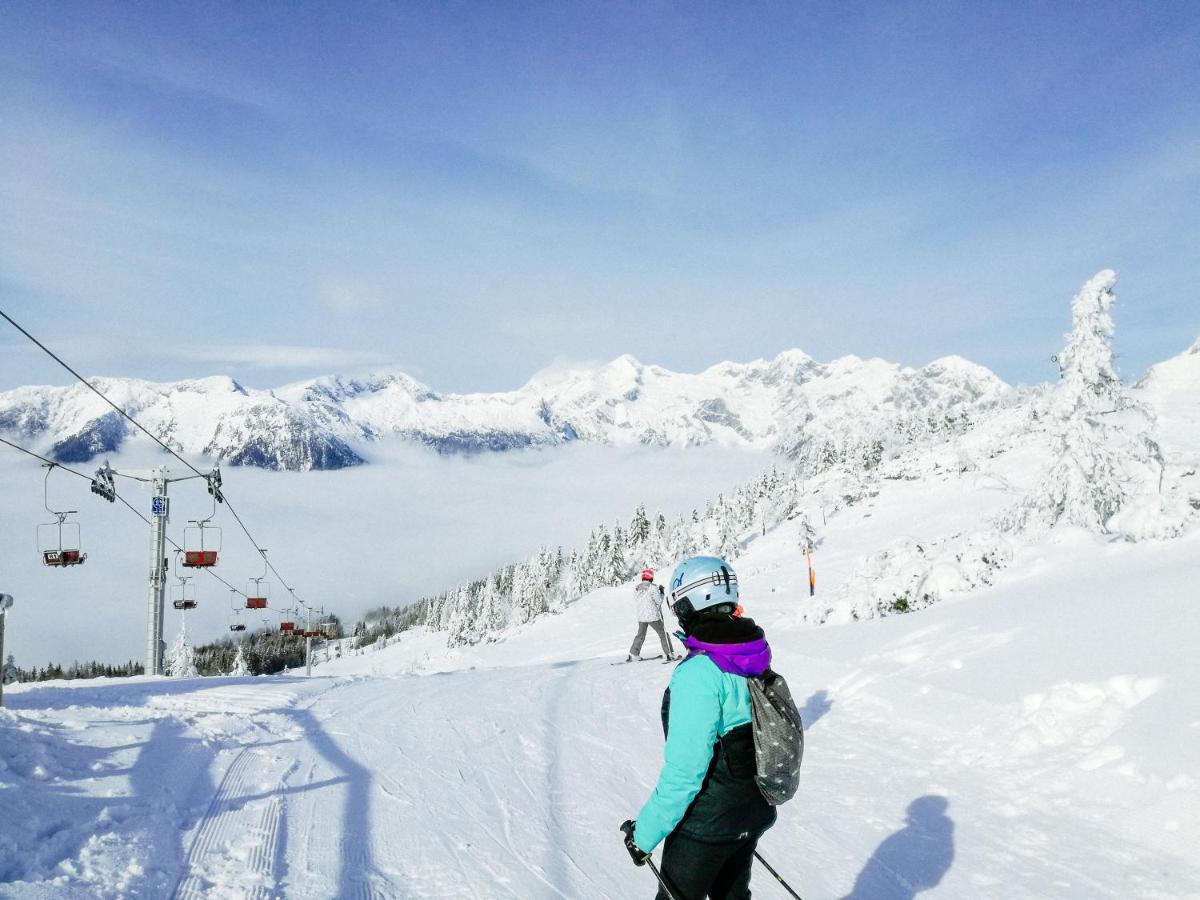 Koca Kronca - Velika Planina Chalet Stahovica