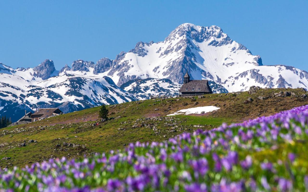 Koca Kronca - Velika Planina *