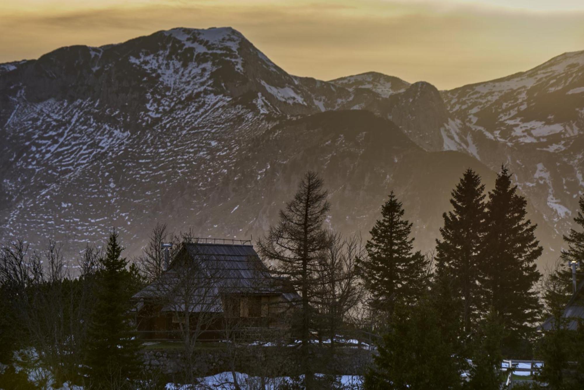 Koca Kronca - Velika Planina