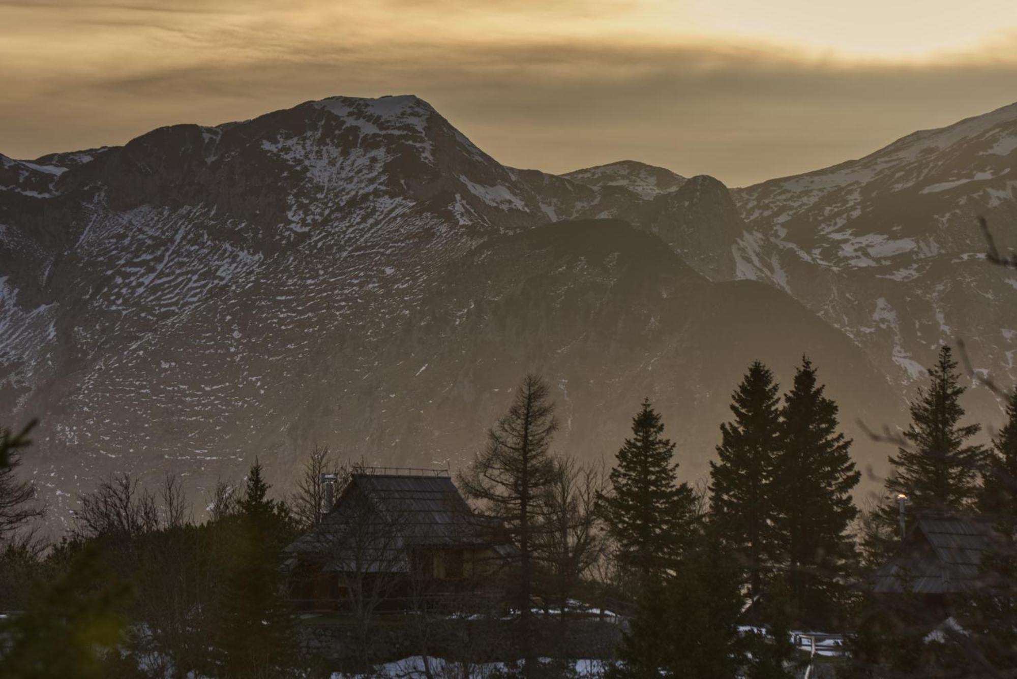 Koca Kronca - Velika Planina Brvnara